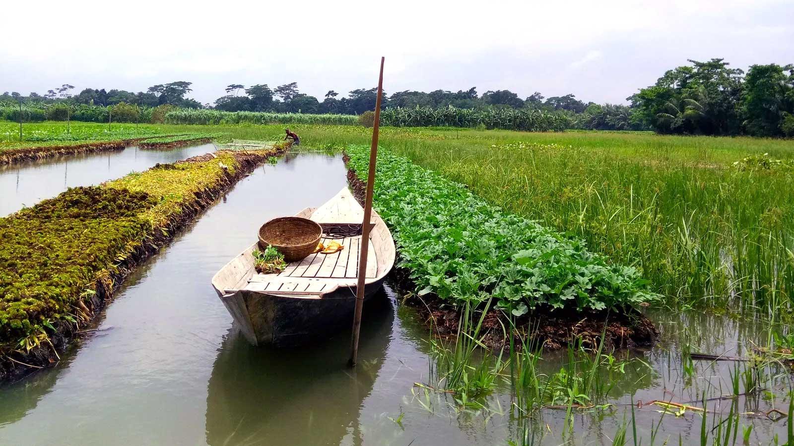 চার মাস চরম খাদ্য সংকটে থাকে উপকূলের ৩৭% কৃষক পরিবার