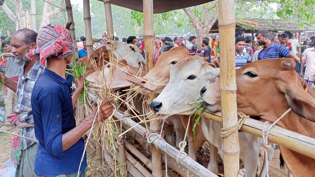 জমে উঠছে মেহেরপুরের ঐতিহ্যবাহী বামন্দী পশুর হাট