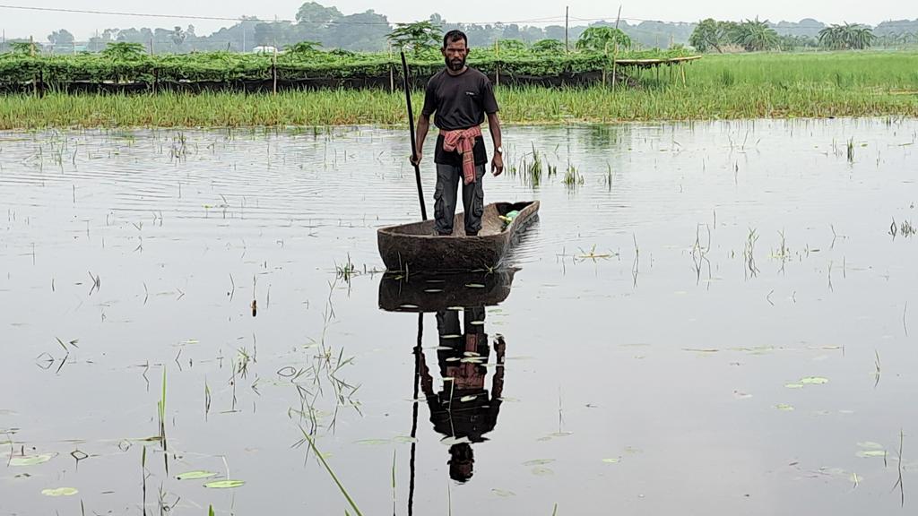 নড়াইলে ভারী বর্ষণে মৎস্য-কৃষিতে ক্ষতি ৮০ কোটি টাকা